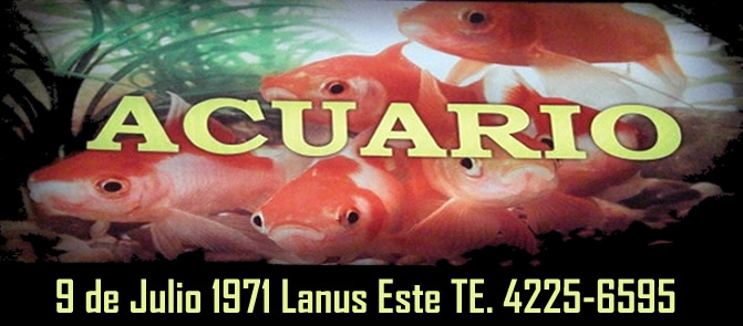 ACUARIO VAGO LANUS